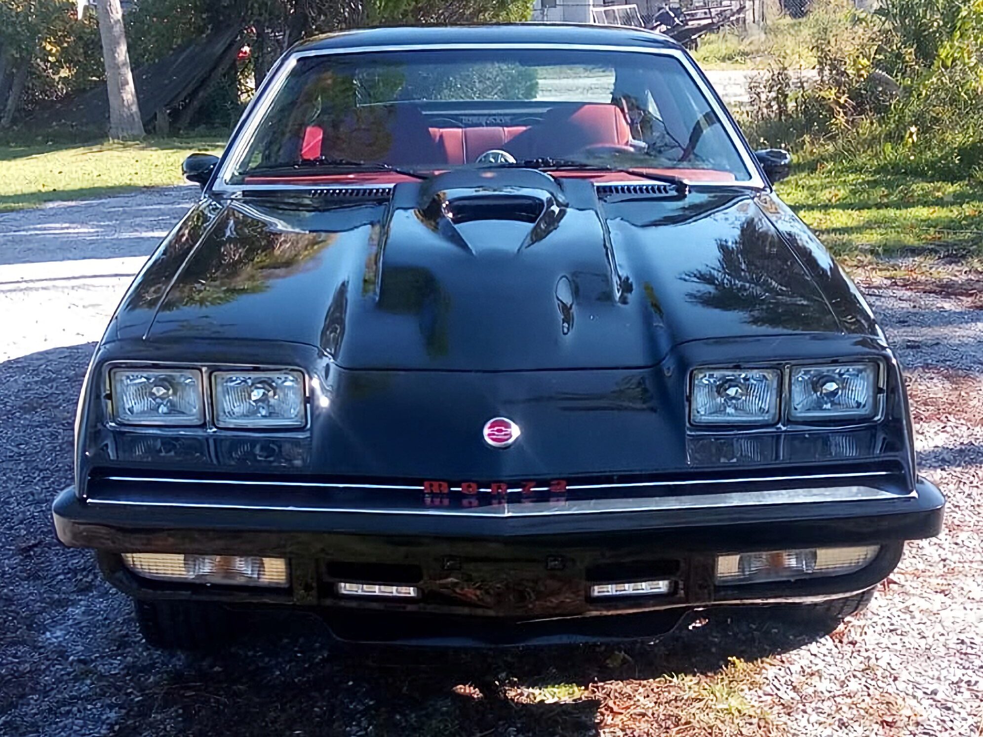 Monza's And H-Body Classic Cars